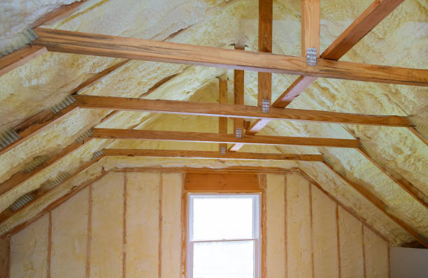 Best Insulation Installation Services in Elsa, TX