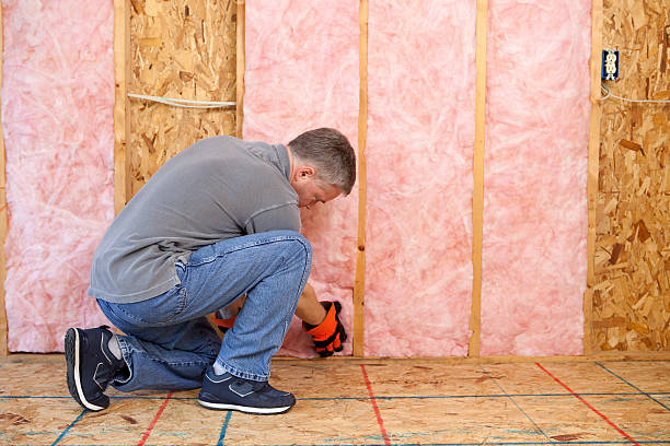 Best Insulation Installation Services in Elsa, TX