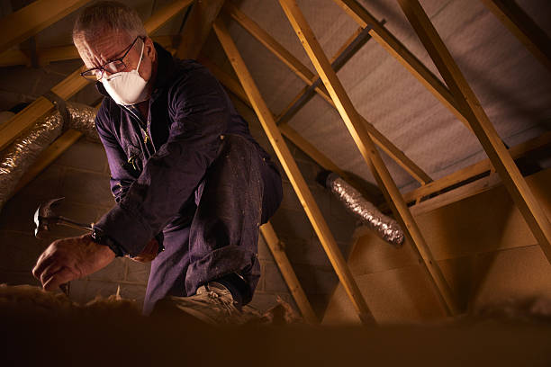 Best Specialty Insulation in Elsa, TX